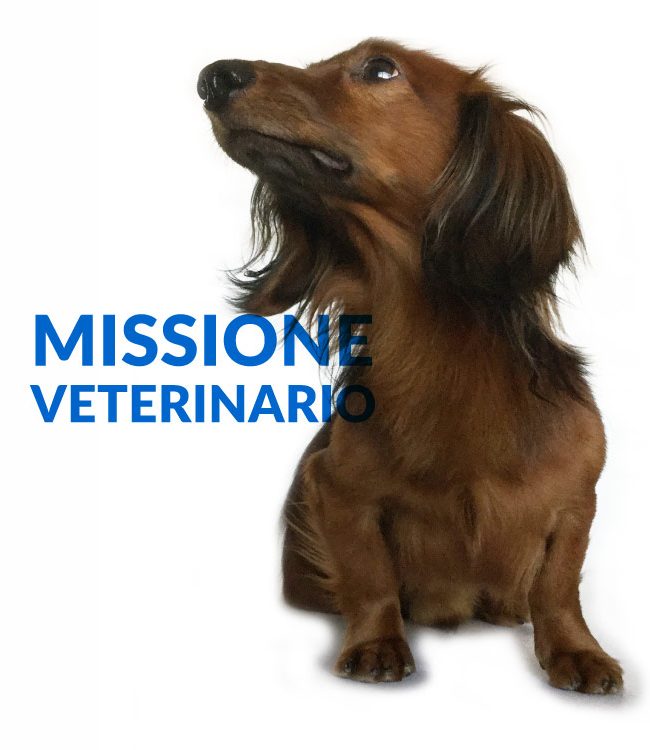 Medical-Evidence-ECM-FAD-Missione-Veterinario-Veterinari